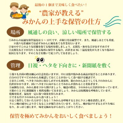 井出農園 家庭用 熟成みかん S-LLサイズ 10㎏