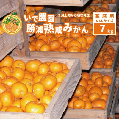 井出農園 家庭用 熟成みかん S-LLサイズ 7kg