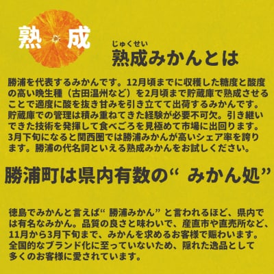 井出農園 家庭用 熟成みかん S-LLサイズ 5kg