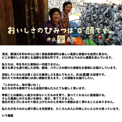 井出農園 家庭用 熟成みかん S-LLサイズ 5kg