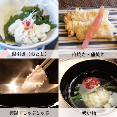 活〆 鱧(はも)切り身【骨切り・カット済】1.2kg
