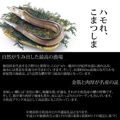 活〆 鱧(はも)切り身【骨切り・カット済】1.2kg