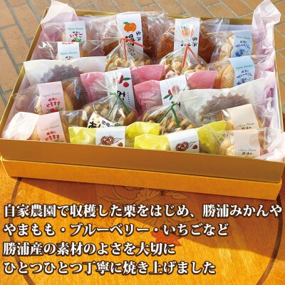 勝浦の焼き菓子詰め合わせ 10種 20個