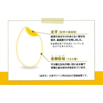 BG無洗米　金芽米きぬむすめ・にこまる2kg食べ比べセット