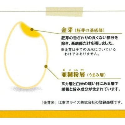 BG無洗米　金芽米きぬむすめ2kg