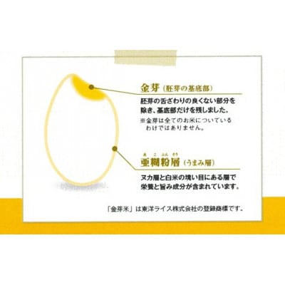 コロナに負けるな島根米　金芽米きぬむすめ5kg+1kg増量