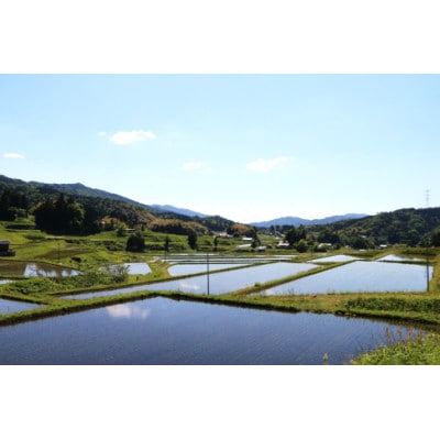 BG無洗米コシヒカリ　5kg