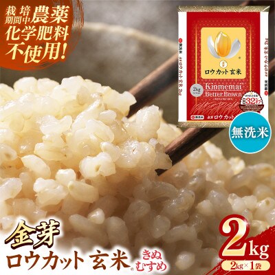 金芽ロウカット玄米 島根県産 きぬむすめ 2kg(2kg×1袋)