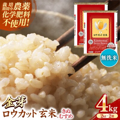 金芽ロウカット玄米 島根県産 きぬむすめ 4kg(2kg×2袋)