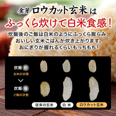 金芽ロウカット玄米 島根県産 きぬむすめ 8kg(2kg×4袋)