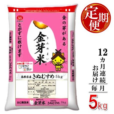 【毎月定期便】BG無洗米　金芽米きぬむすめ 5kg【毎月】全12回