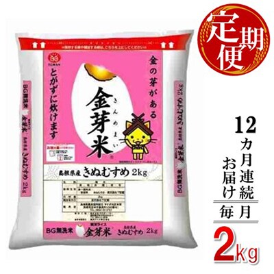 【毎月定期便】BG無洗米　金芽米きぬむすめ 2kg【毎月】全12回