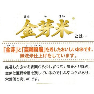 【毎月定期便】BG無洗米・金芽米つや姫 2kg【毎月】全12回