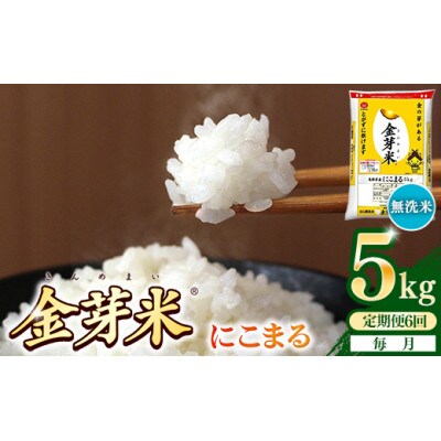 【毎月定期便】BG無洗米・金芽米にこまる5kg全6回