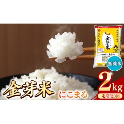 【毎月定期便】BG無洗米・金芽米にこまる 2kg全3回