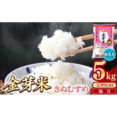 【2ヵ月毎定期便】BG無洗米・金芽米きぬむすめ5kg全3回