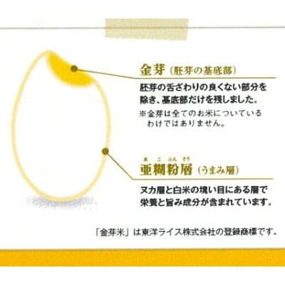 【2ヵ月毎定期便】BG無洗米・金芽米つや姫 5kg全3回