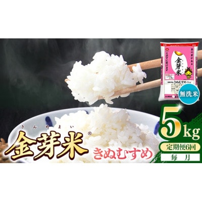 【毎月定期便】BG無洗米・金芽米きぬむすめ5kg全6回