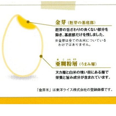 2023年8月発送開始『定期便』BG無洗米 金芽米にこまる 5kg【毎月】全6