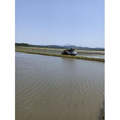 能義平野の「こだわり米」食べ比べセット10kg(5kg×2袋)