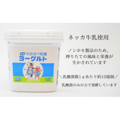 ヨーグルト500g(プレーン)6個セット【無糖 ネッカ牛乳 ノンホモ製法】