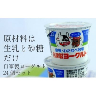 わたなべ牧場のヨーグルトセット【ヨーグルト 加糖】100g×24個