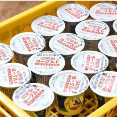わたなべ牧場のヨーグルトセット【ヨーグルト 加糖】100g×24個