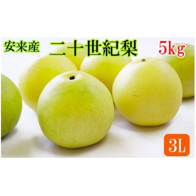 【期間限定】島根県安来市産　二十世紀梨 3L 5kg(安来市)