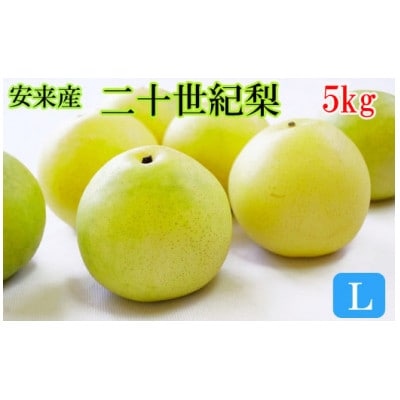 【期間限定】島根県安来市産　二十世紀梨 L 5kg(安来市)