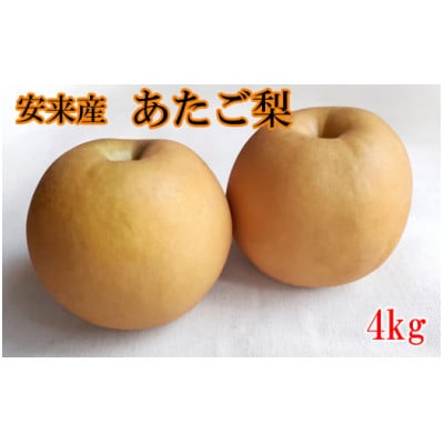 【期間限定】島根県安来市産　あたご梨　約4kg(安来市)