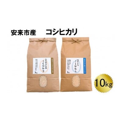 安来市産コシヒカリ　食べ比べ10kgセット(安来市)