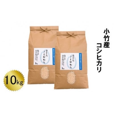 小竹産コシヒカリ10kg(安来市)