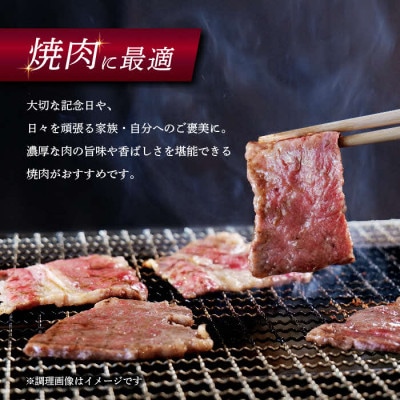 しまね和牛 焼肉用2種食べ比べセット(肩ロース、モモ) 800g【黒毛和牛】(安来市)