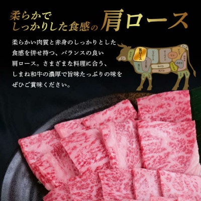しまね和牛 焼肉用2種食べ比べセット(肩ロース、モモ) 400g【黒毛和牛】(安来市)