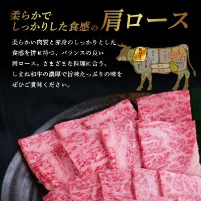 しまね和牛 焼肉用2種セット(肩ロース、カルビ) 560g【黒毛和牛】(安来市)