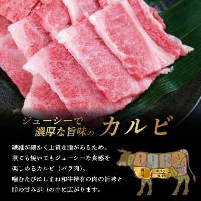 しまね和牛 焼肉用2種セット(肩ロース、カルビ) 560g【黒毛和牛】(安来市)