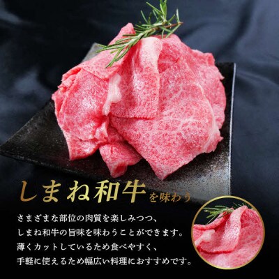 しまね和牛 小間切れ 500g【黒毛和牛】(安来市)