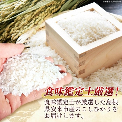 食味鑑定士厳選　島根こしひかり 20kg(5kg×4袋)(安来市)