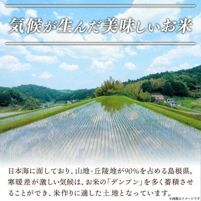 【毎月定期便】食味鑑定士厳選　島根こしひかり 5kg(5kg×1袋)(安来市)全3回