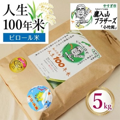 ピロール米コシヒカリ (白米) 5kg×1袋