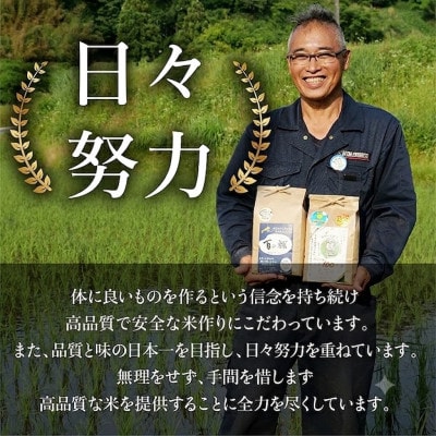 ピロール米コシヒカリ (白米) 5kg×1袋