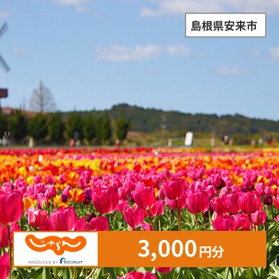 【じゃらんふるさと納税クーポン】 島根県安来市でつかえる3,000円 クーポン