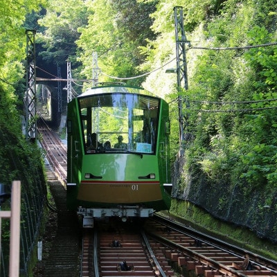 山荘なぎさ 貸切 プラン 30名様 宿泊券 伊勢原・大山[0356]