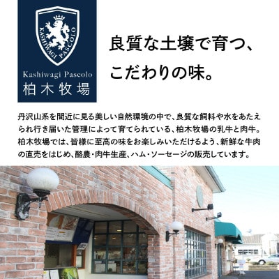 【柏木牧場直送】 柏木牧場 手づくりアイスクリーム ミルク味 8個セット (120ml/個)