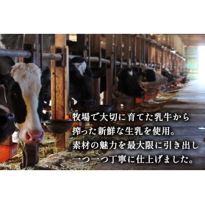 【柏木牧場直送】 柏木牧場 手づくりアイスクリーム ミルク味 8個セット (120ml/個)