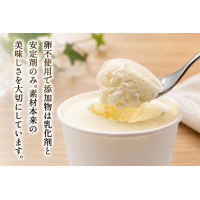 【毎月定期便】柏木牧場 手づくりアイスクリーム食べ比べ 計36個 (4種 各3個/回)全3回