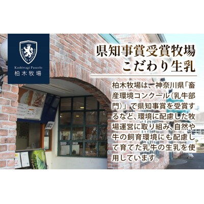 【毎月定期便】柏木牧場 手づくりアイスクリーム食べ比べ 計36個 (4種 各3個/回)全3回