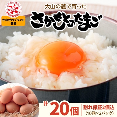 大山の麓で育ったさかもとのたまご 計20個(18個+割れ保証2個/10個×2パック)