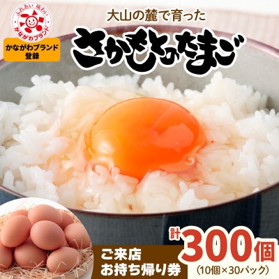 「ご来店お持ち帰り用券」合計300個分 大山の麓で育ったさかもとのたまご  (10個×30パック)