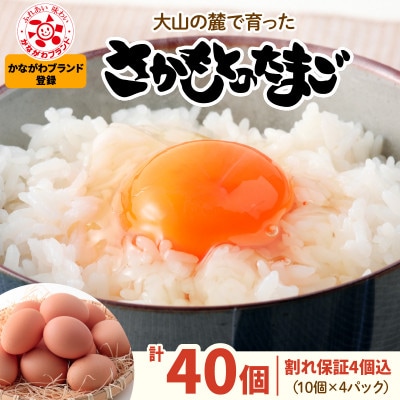 大山の麓で育ったさかもとのたまご 計40個(36個+割れ保証4個/10個×4パック)